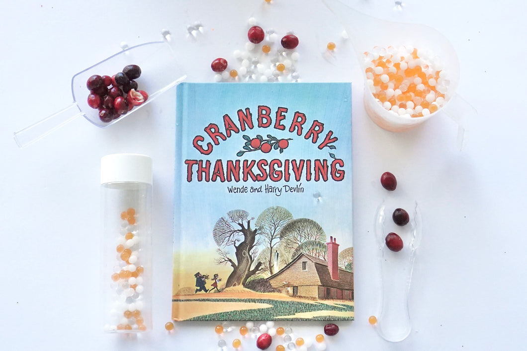 Cranberry Thanksgiving Sensory Kit